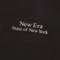 ニューエラのTシャツ