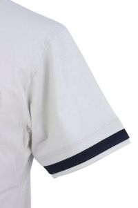 カヴァッルッチョマリーノのTシャツ