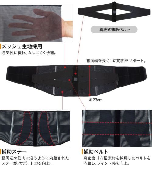 腰用サポーター ミドルタイプ メンズ レディース ファイテン phiten