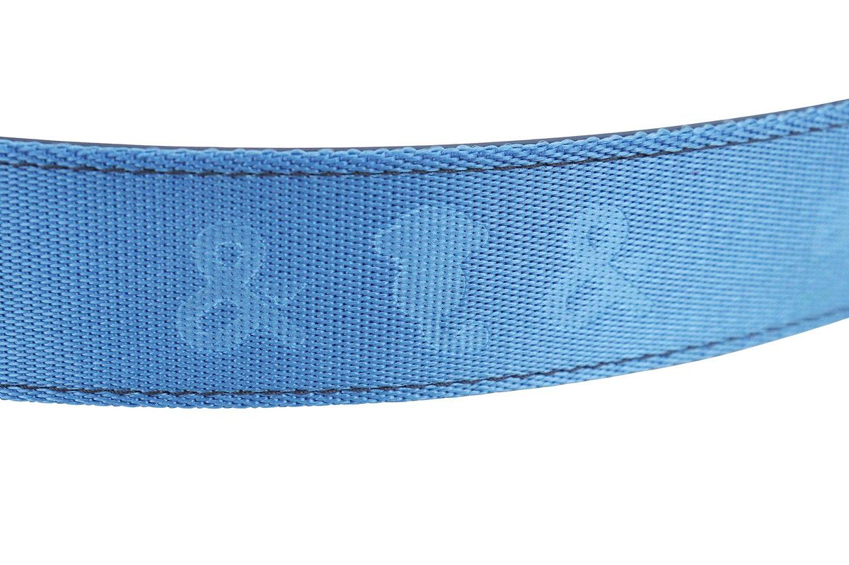 アンパスィのベルト