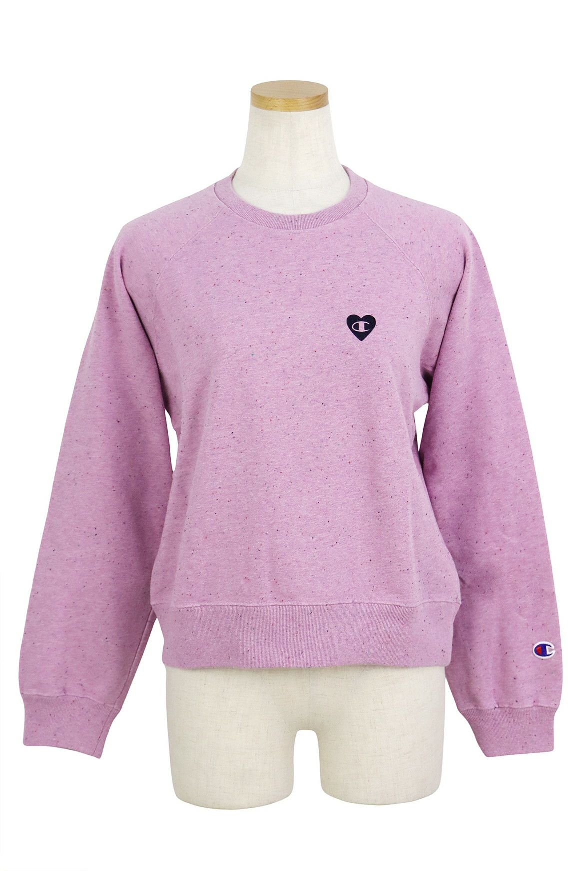 チャンピオンのトレーナー