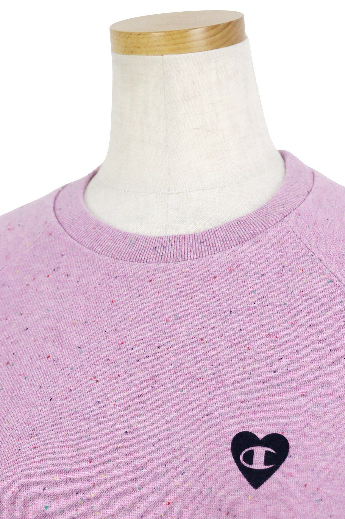 チャンピオンのトレーナー