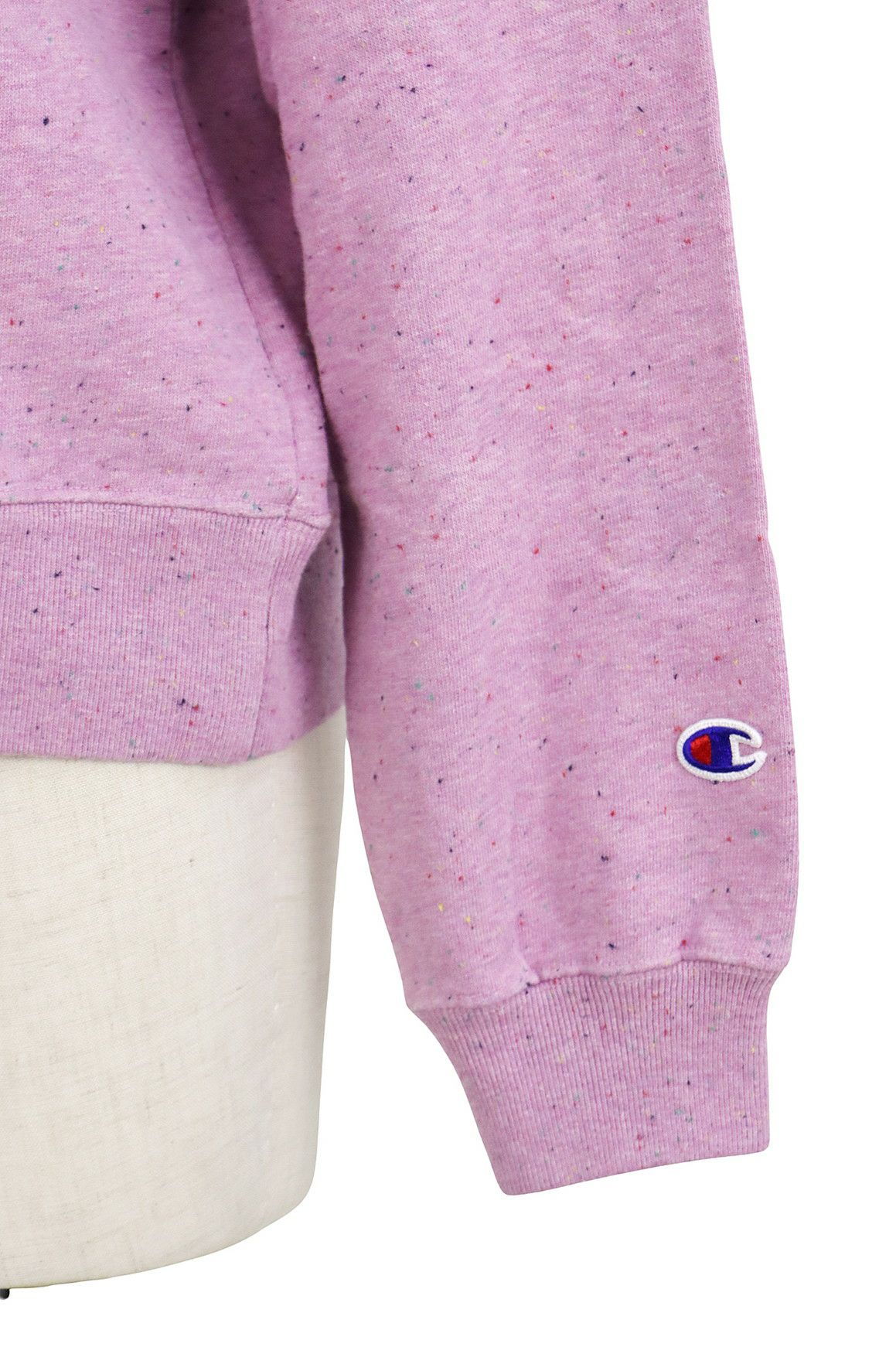 チャンピオンのトレーナー