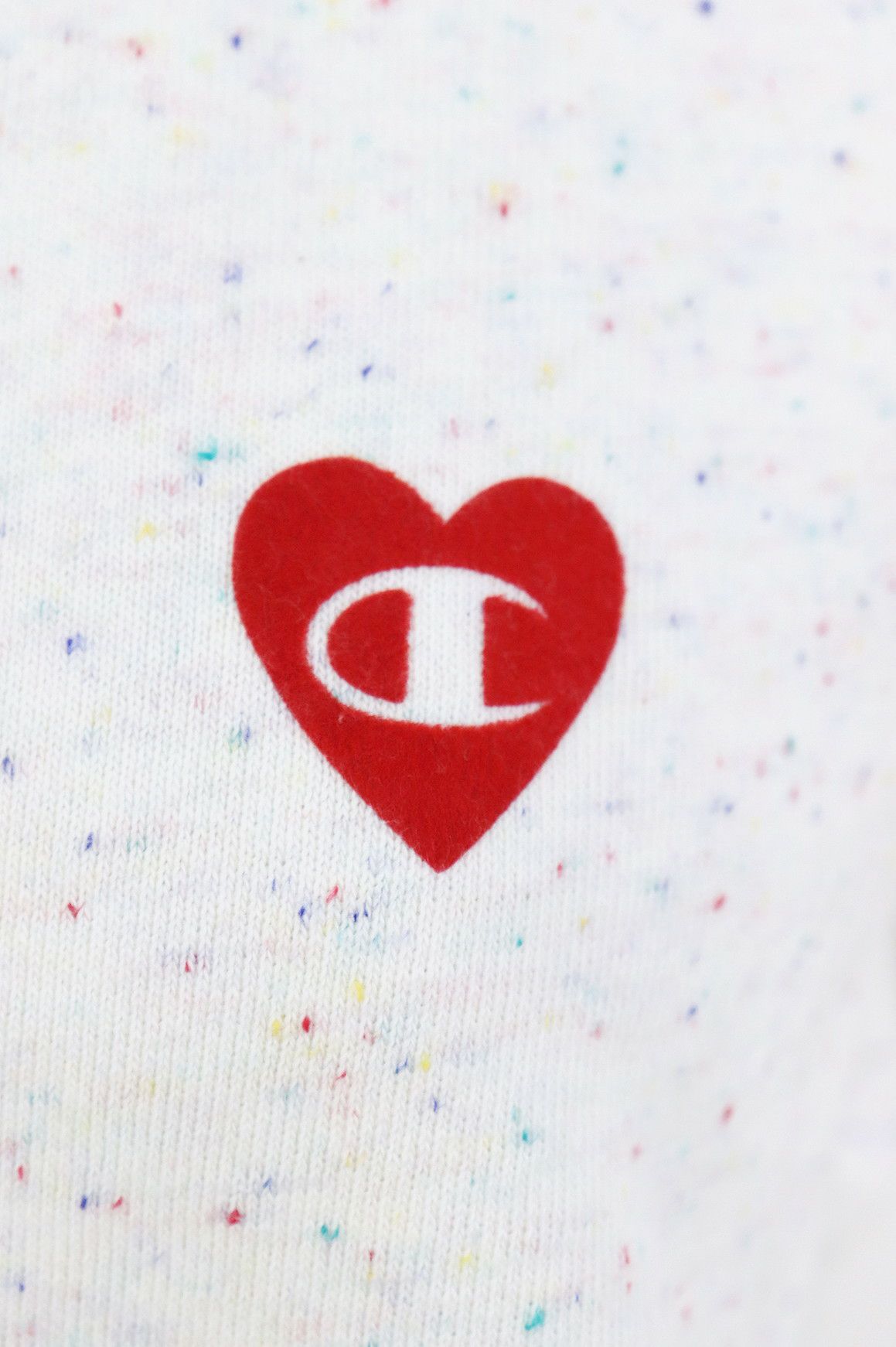 チャンピオンのトレーナー