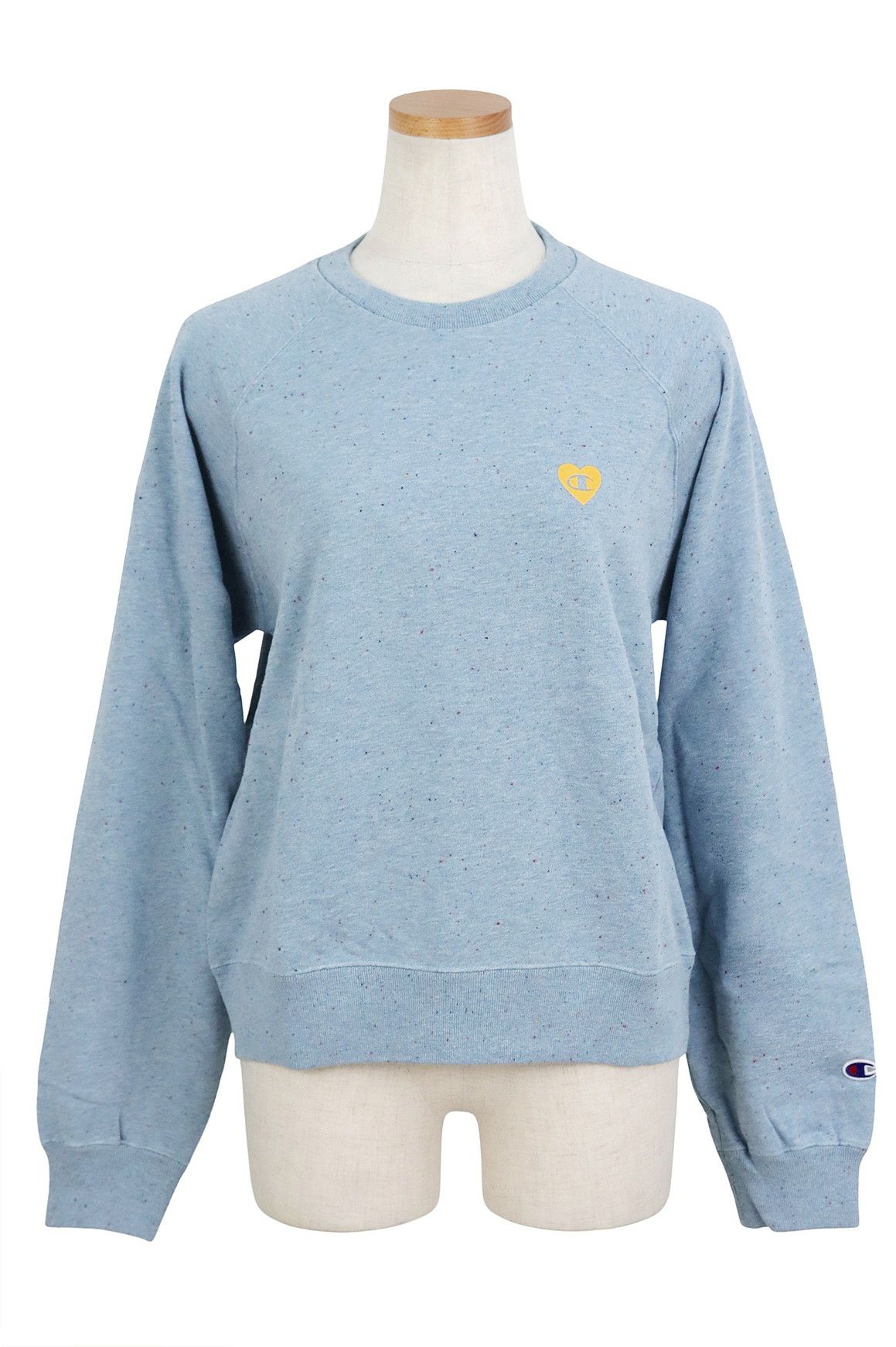 チャンピオンのトレーナー