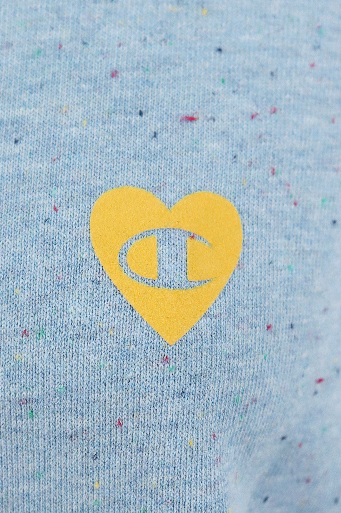 チャンピオンのトレーナー