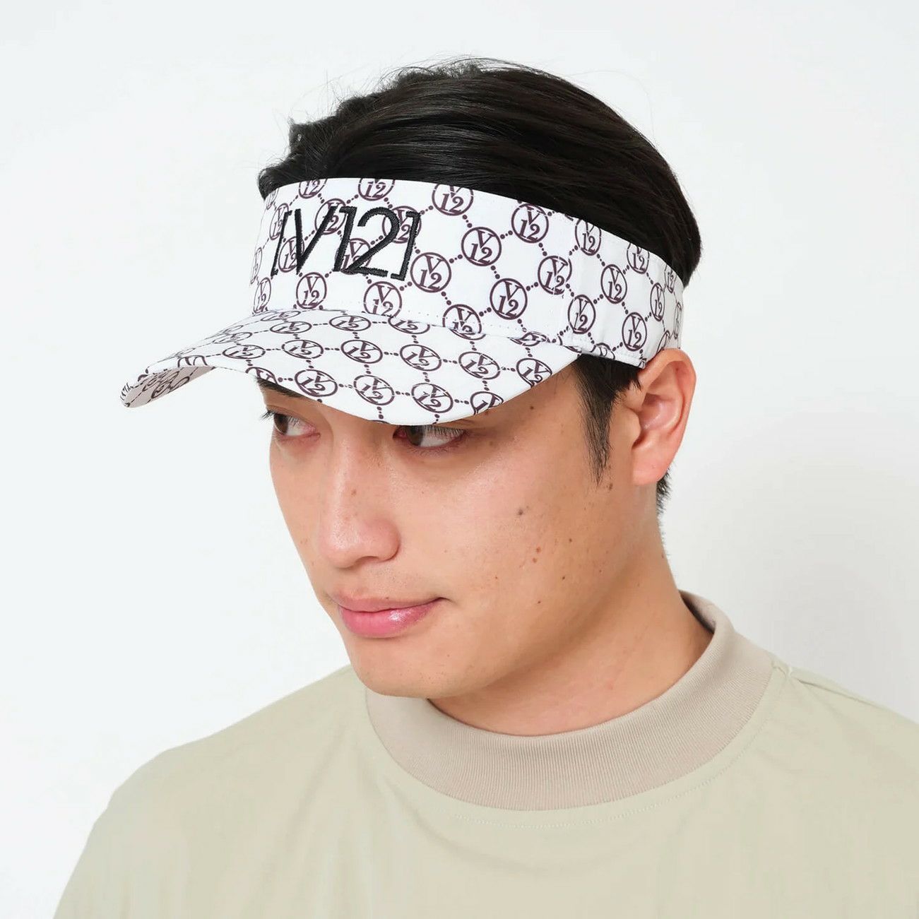 V12のサンバイザー