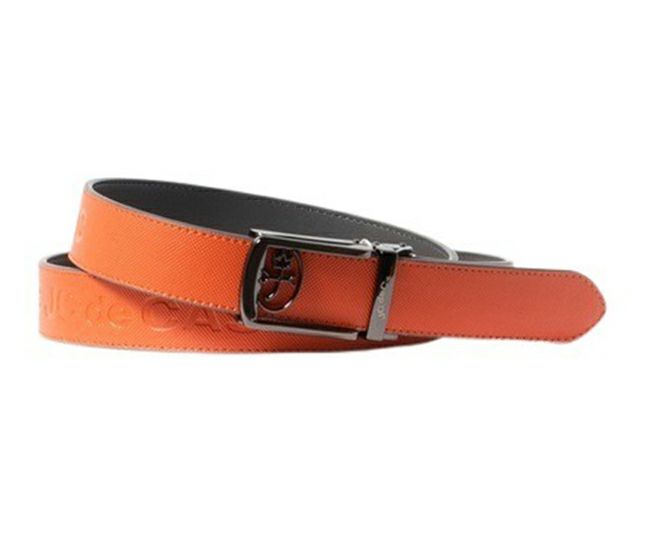 カステルバジャックスポーツのベルト