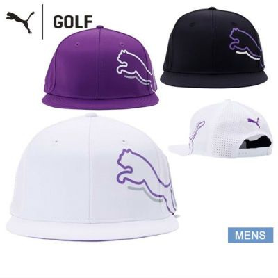 DESCENTE GOLF デサントゴルフ　カートバッグ　中綿入り　ダウン　紫 DESCENTE GOLF デサントゴルフ カートバッグ 中綿入り ダウン 紫 楽天