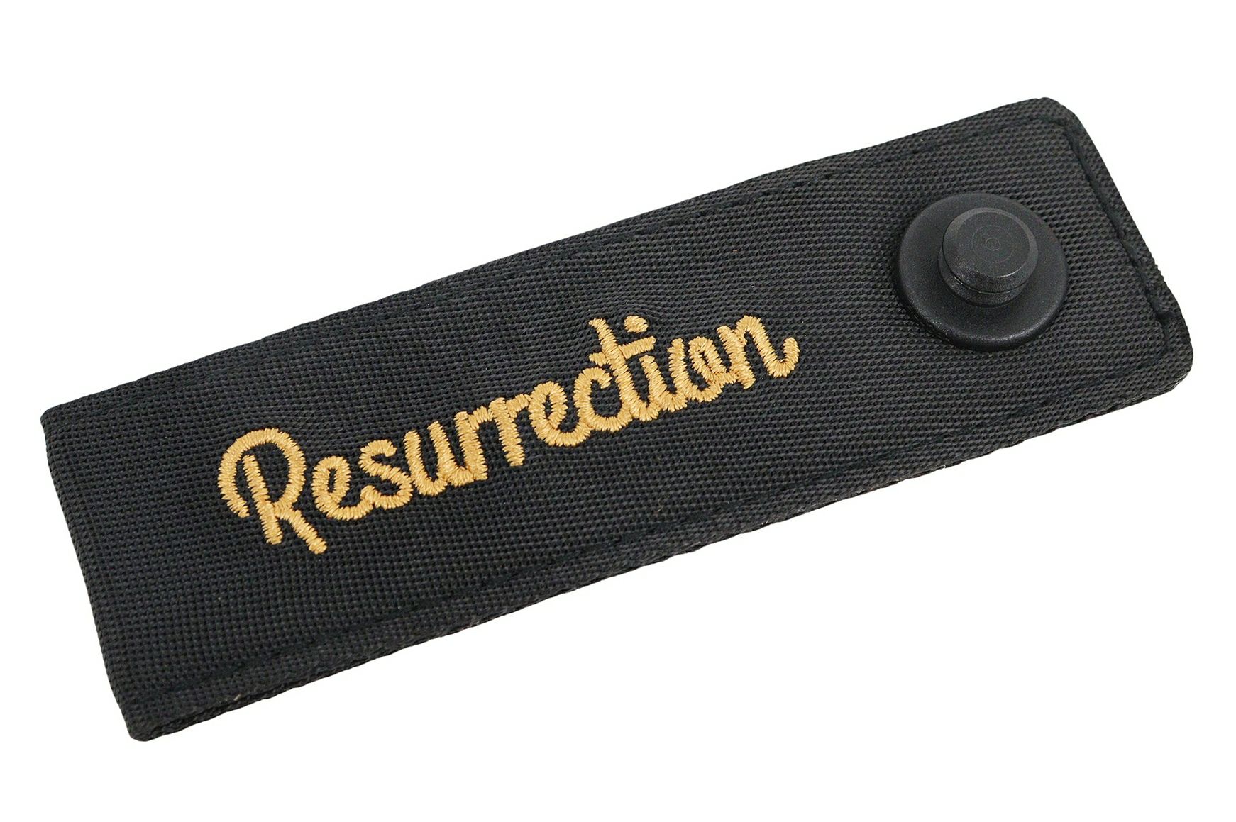 レザレクションのパターカバー