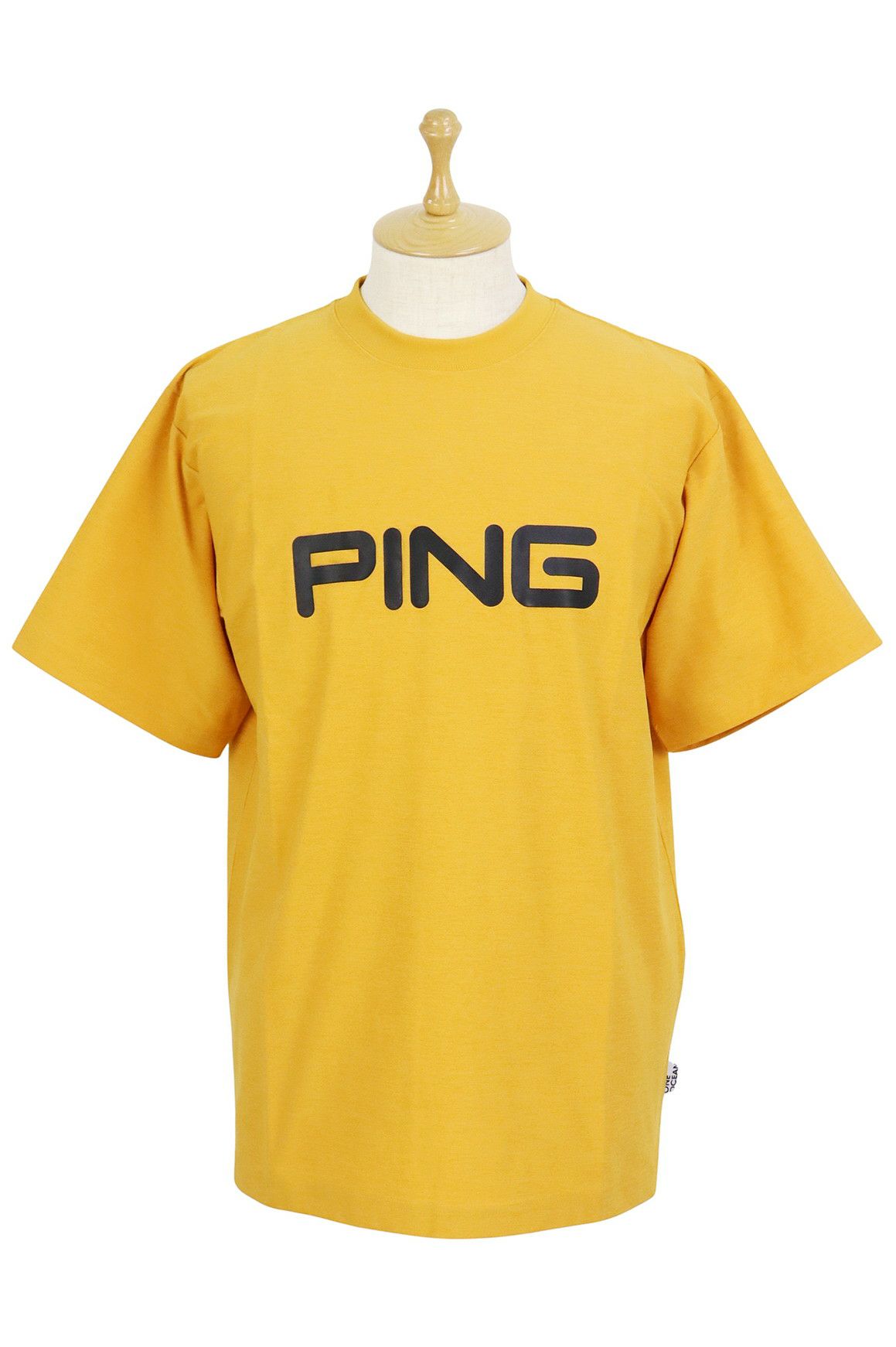 ピンのブルゾン