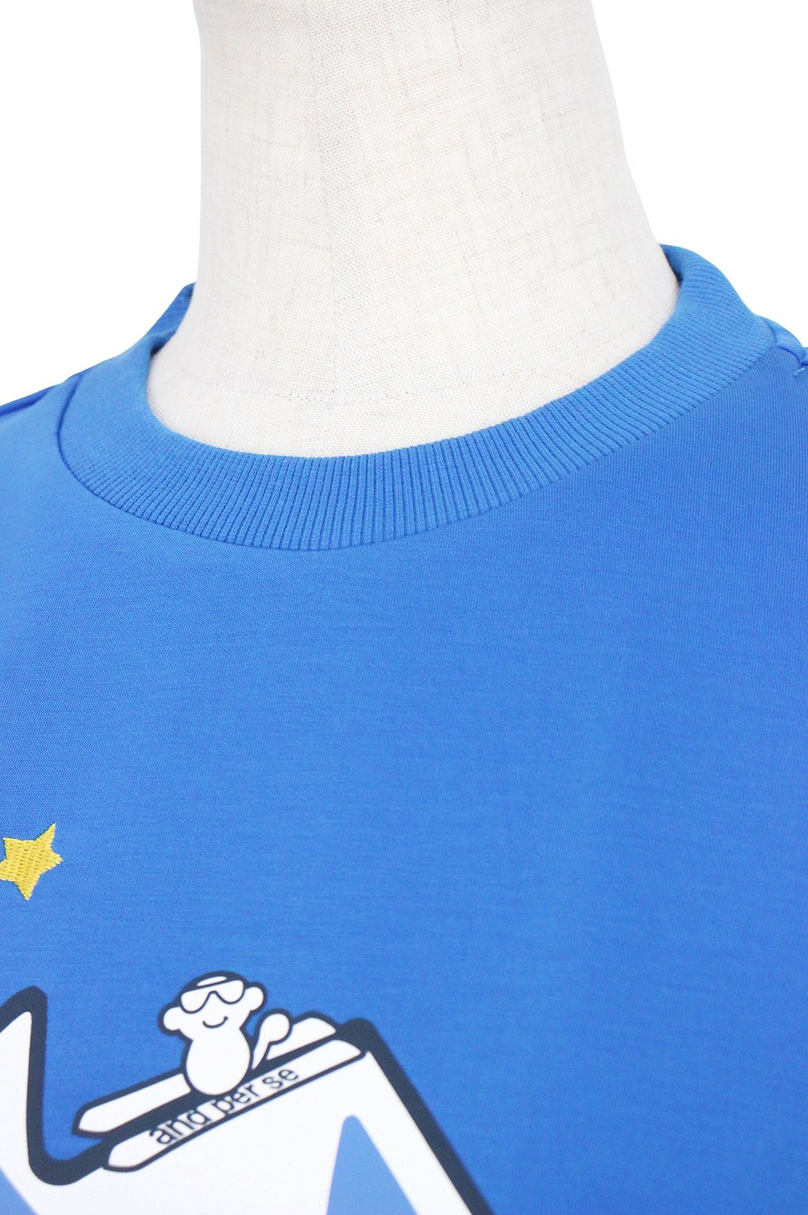 アンパスィのトレーナー