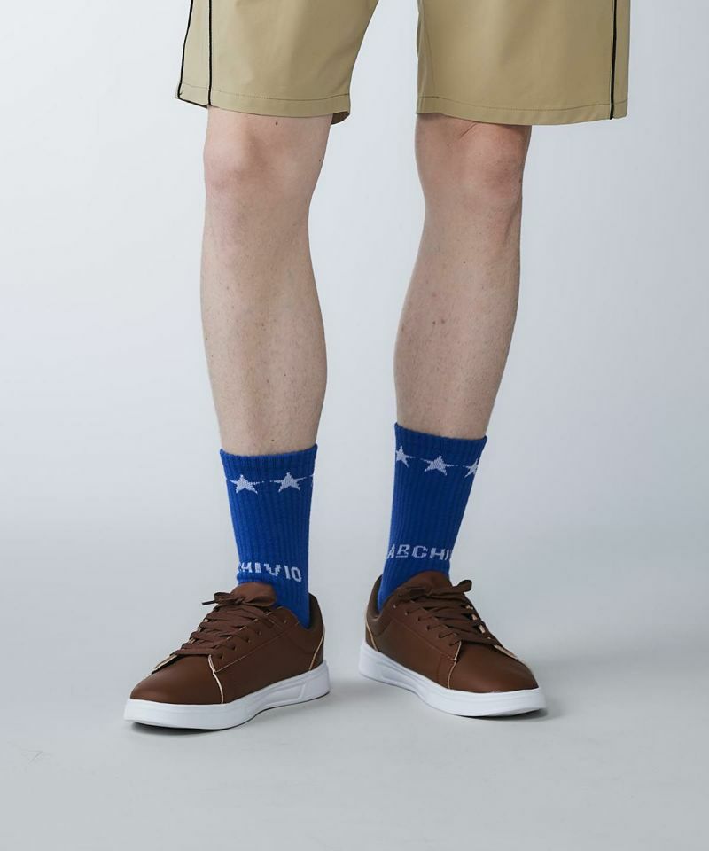 アルチビオのソックス