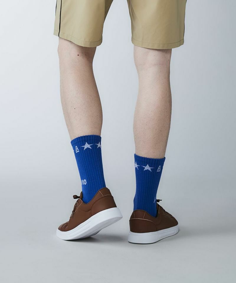 アルチビオのソックス