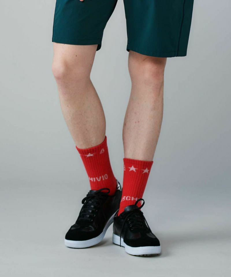 アルチビオのソックス