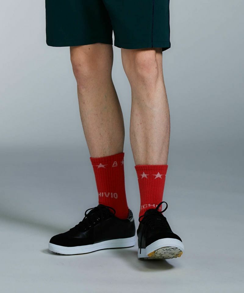 アルチビオのソックス