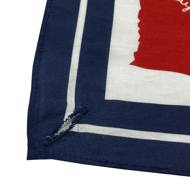 シナコバのフリーチーフ