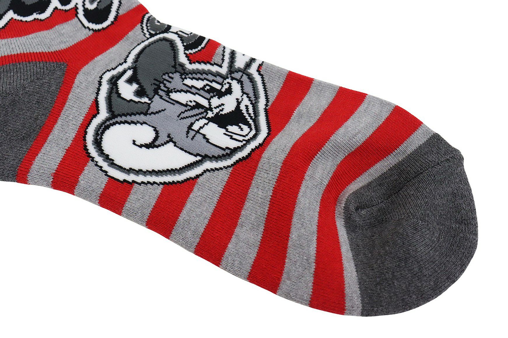 カステルバジャックスポーツのソックス