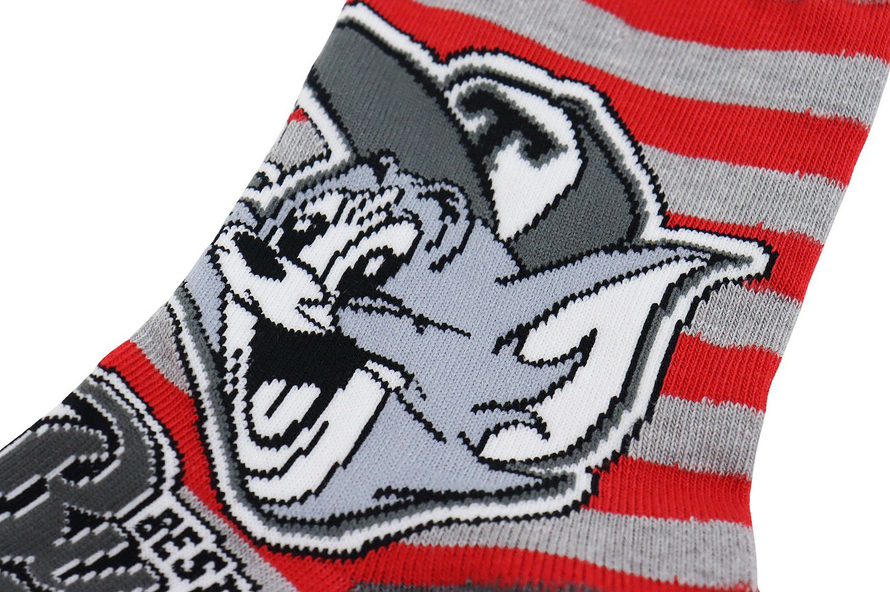 カステルバジャックスポーツのソックス