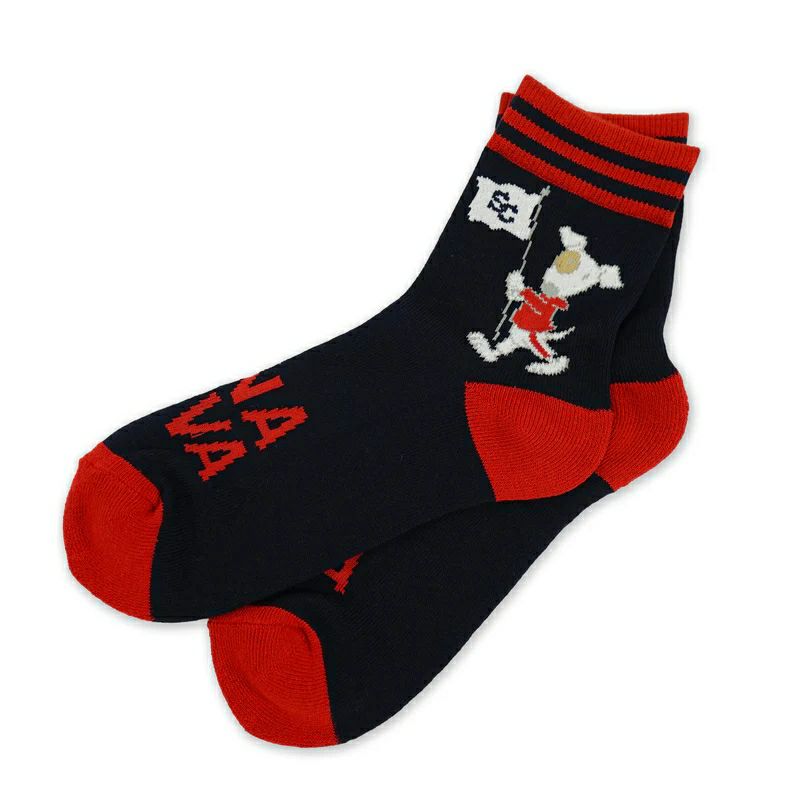 シナコバのソックス