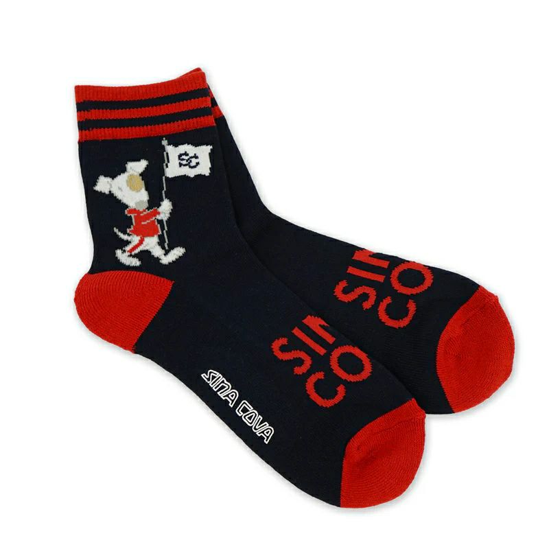 シナコバのソックス