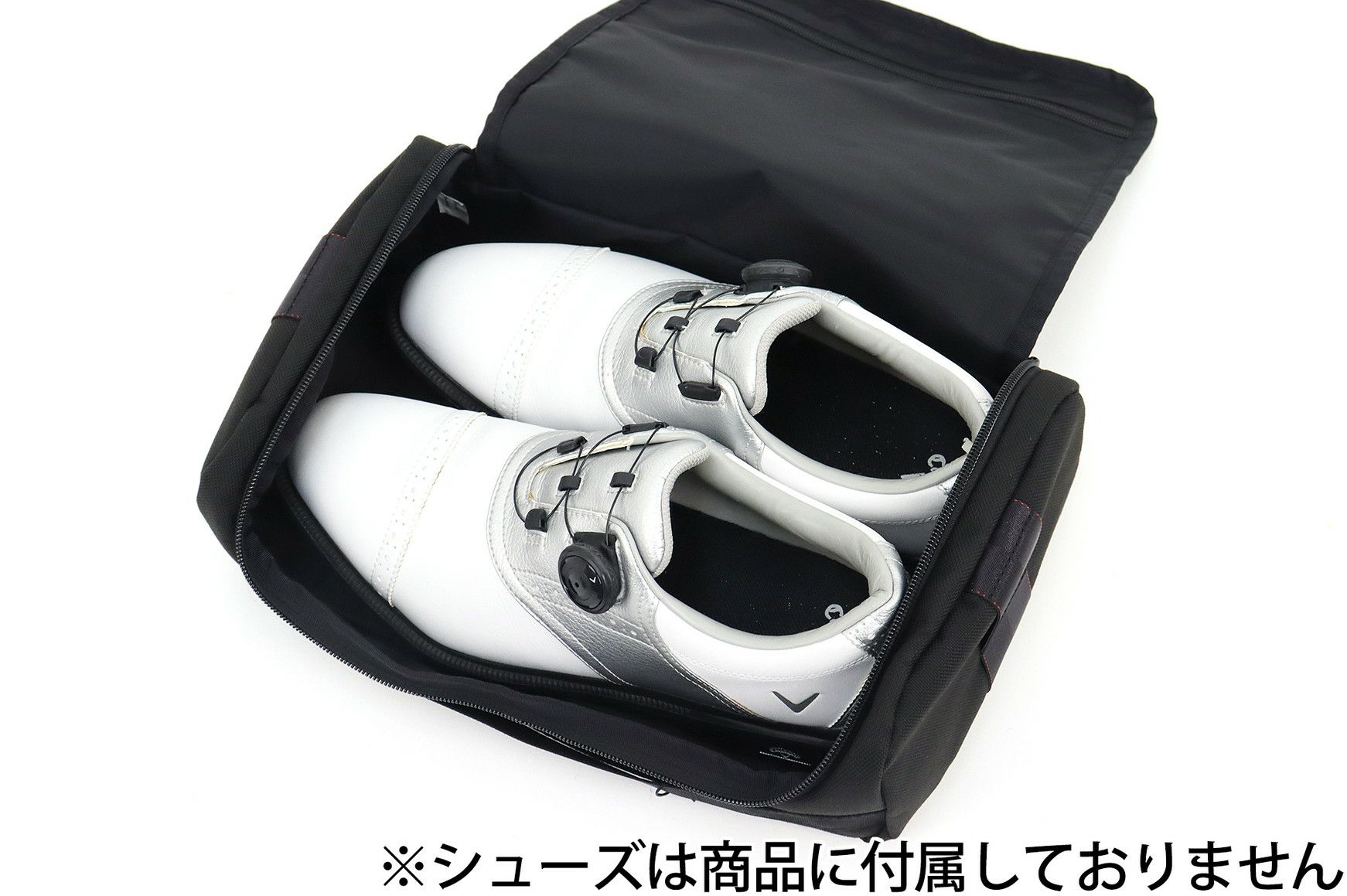 ブリーフィングゴルフのシューズケース