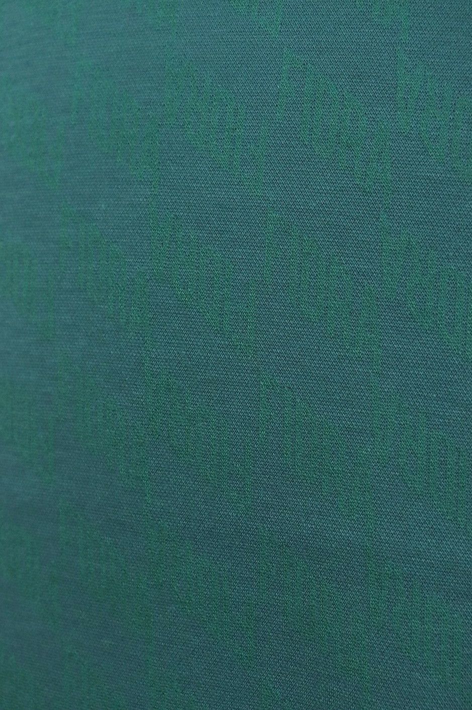 フィドラのハイネックシャツ