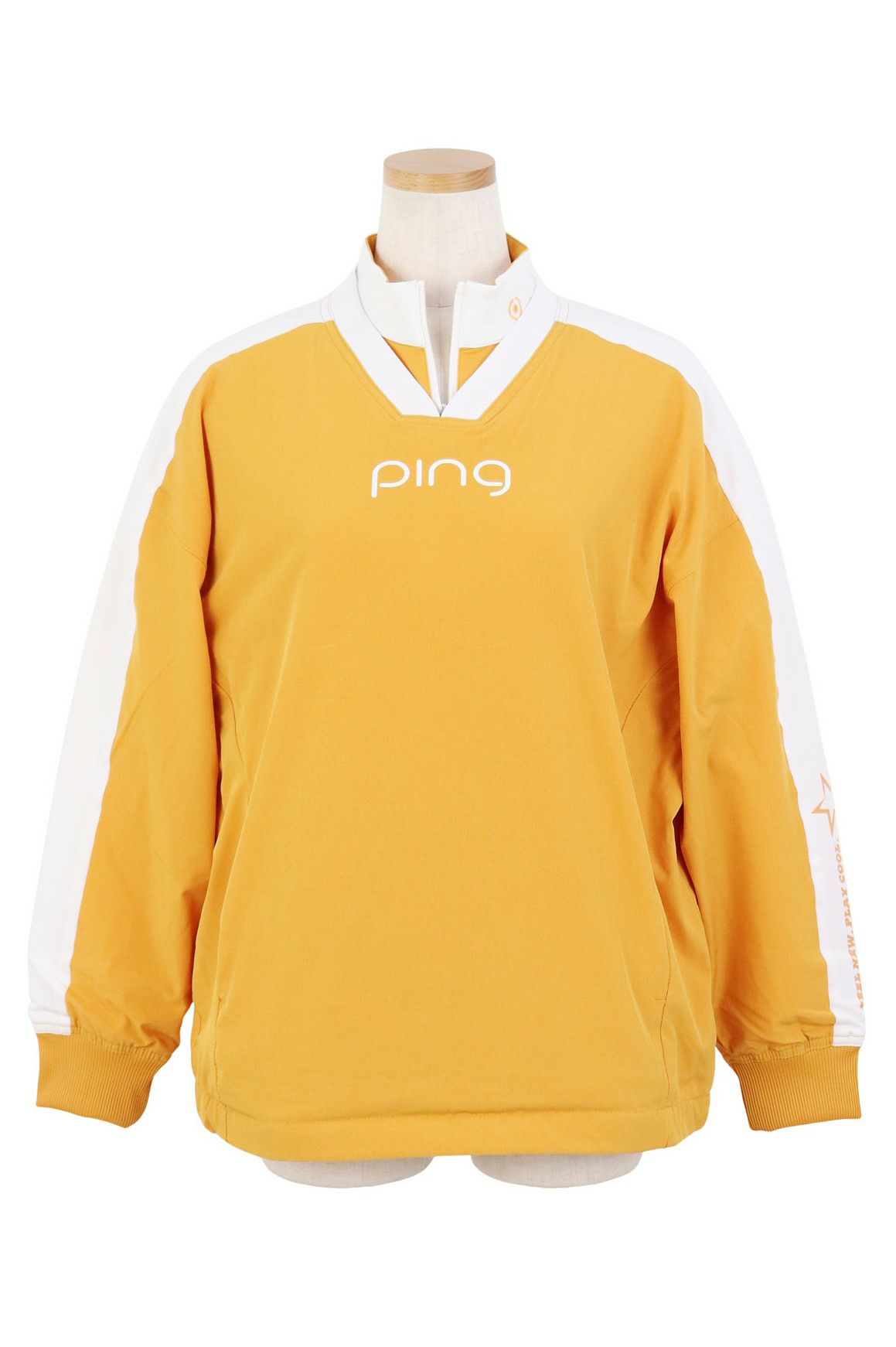 ピンのブルゾン