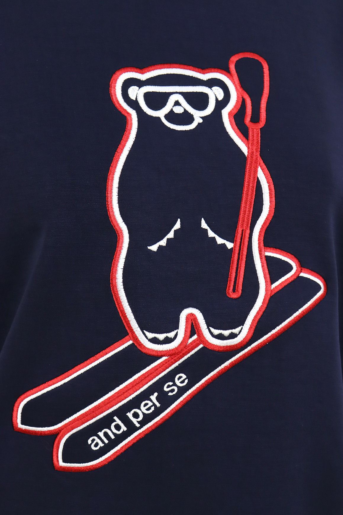 アンパスィのトレーナー