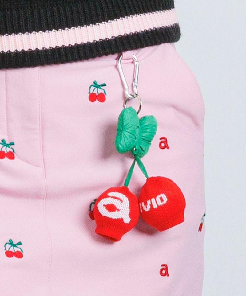 アルチビオのボールケース