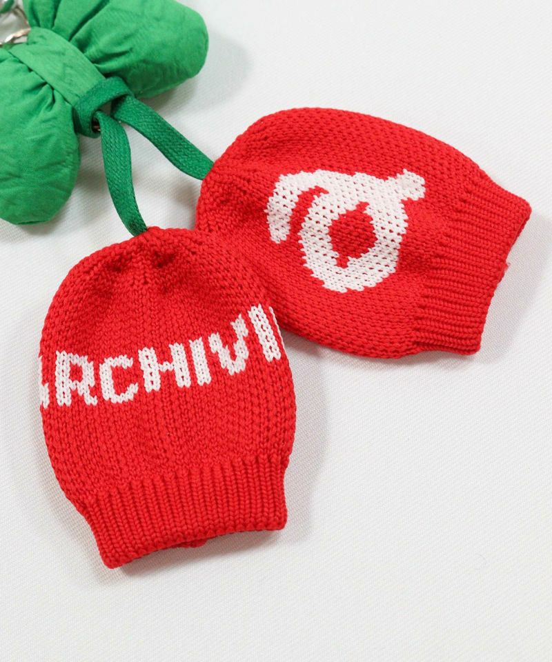 アルチビオのボールケース