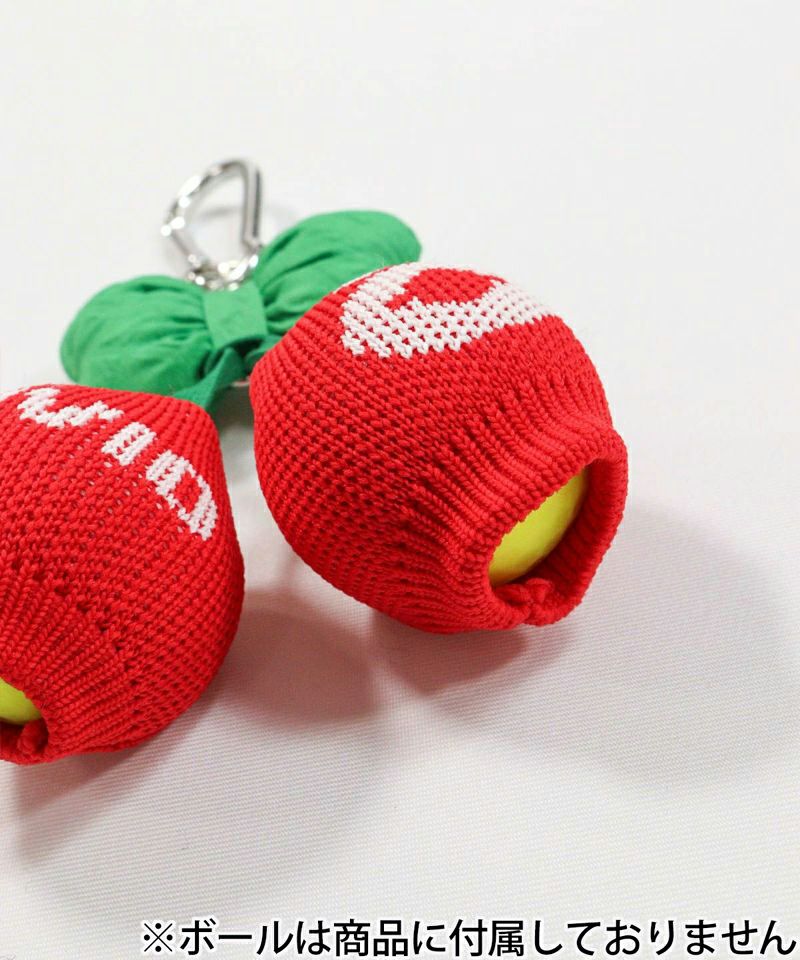 アルチビオのボールケース