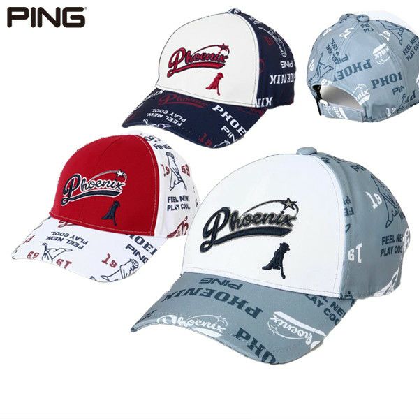 ピンのキャップ