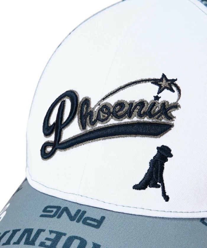 ピンのキャップ