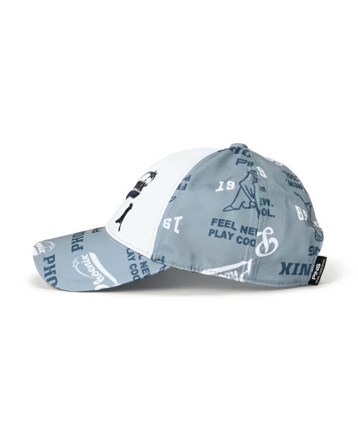 ピンのキャップ