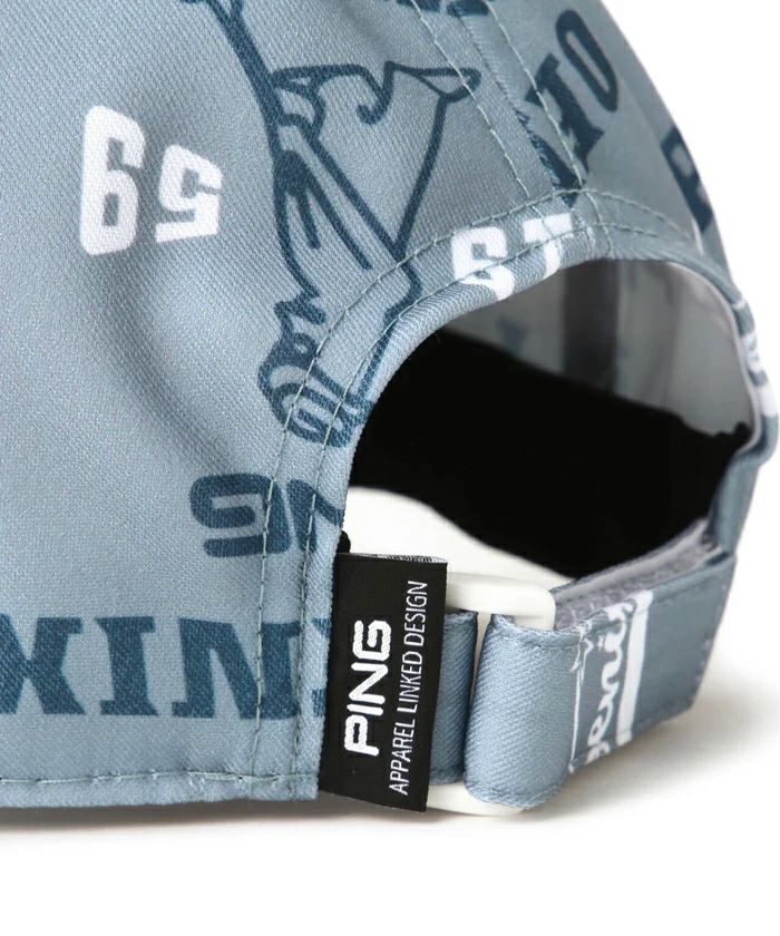 ピンのキャップ