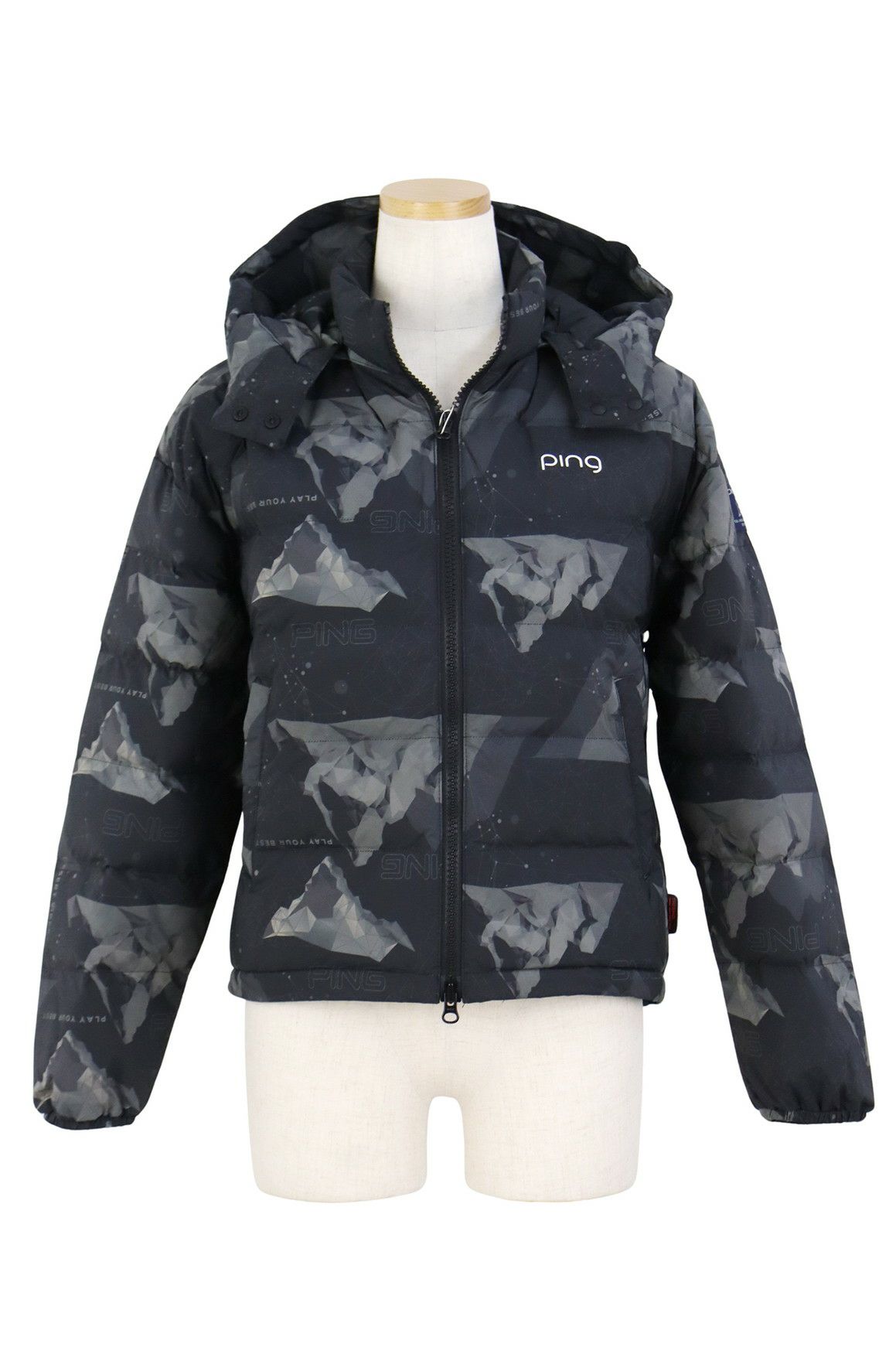 ピンのブルゾン