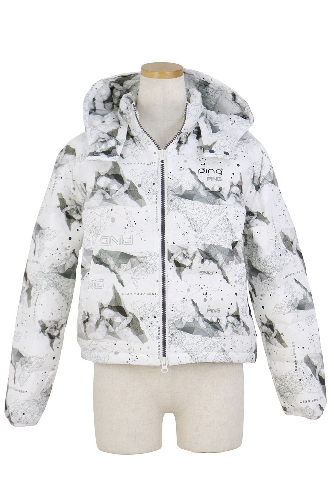 ピンのブルゾン