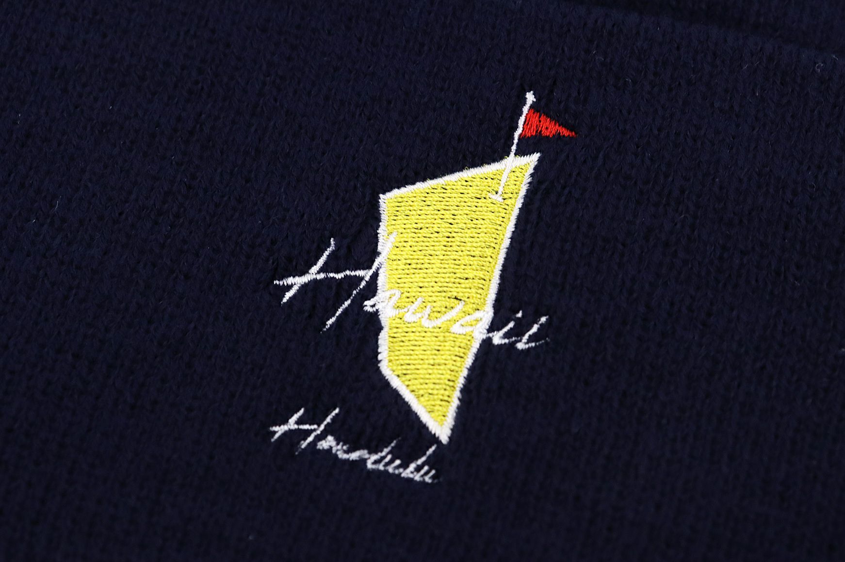 サルベージパブリックコレパのニット帽