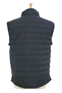 30％OFFセール】ベスト メンズ ポロ ゴルフ ラルフローレン アール