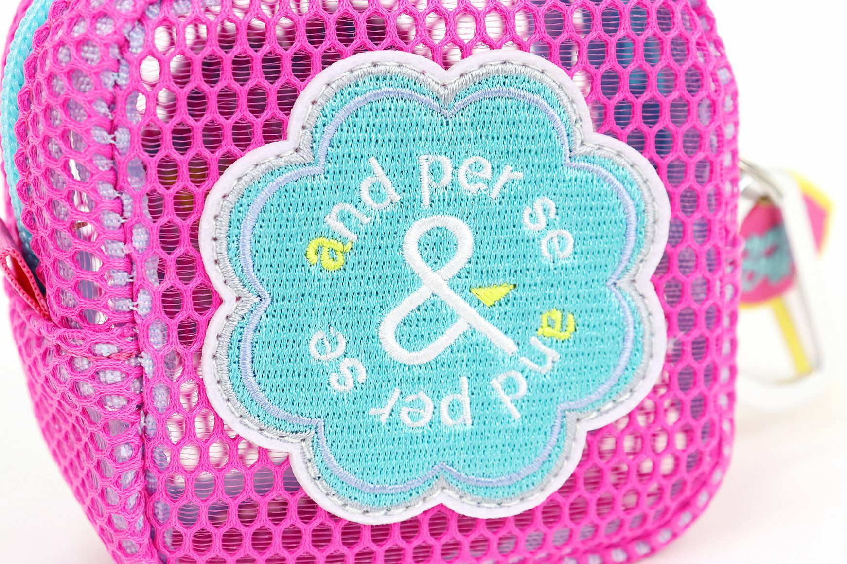 アンパスィのボールケース