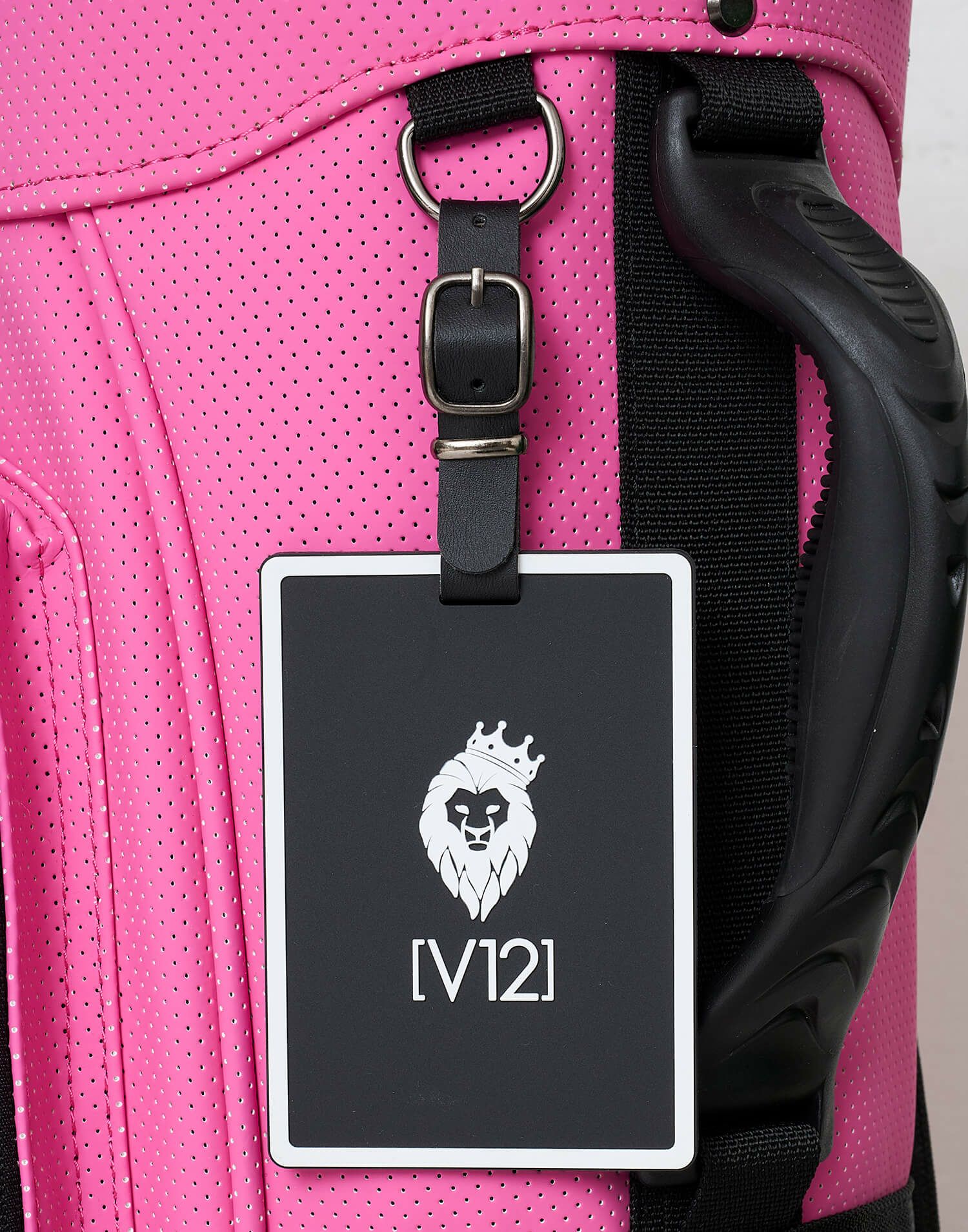 V12のキャディバッグ