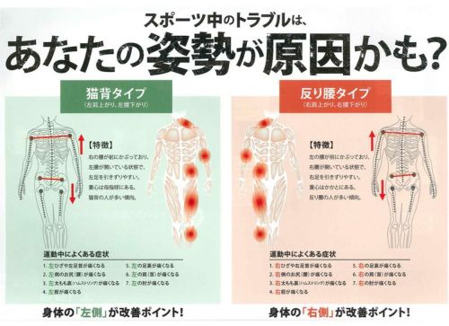 デサント 鴻江ベルト 骨盤ベルト デサント レディース グッズ ゴルフウェア通販のt On ティーオン