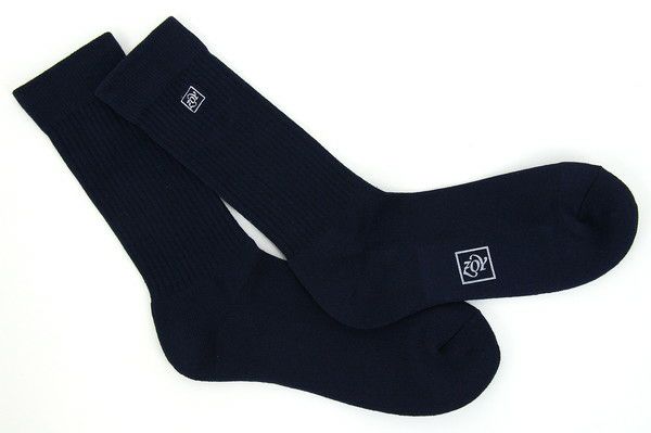 ゾーイのソックス